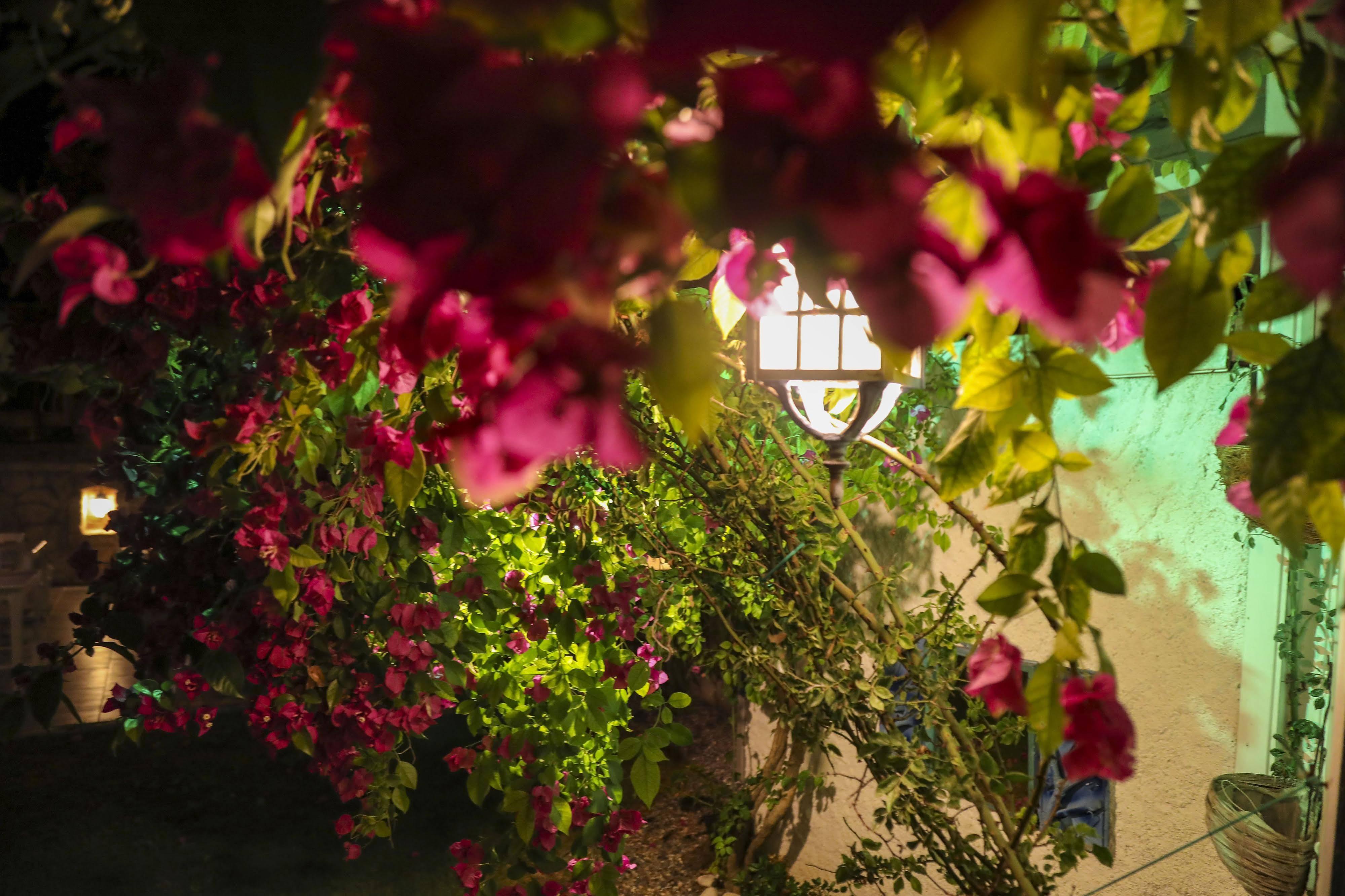 Sari Gelin Alacati Hotel Zewnętrze zdjęcie